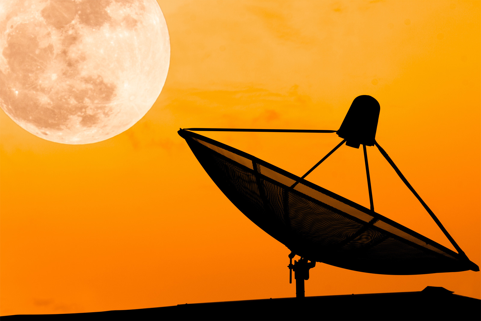 Product Lifecycle Management [PLM]  Market Insights, Trends & Growth Outlook