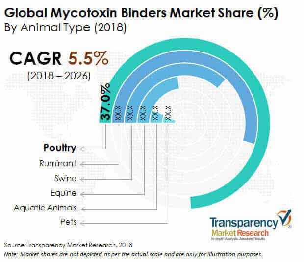 1global mycotoxin binders market