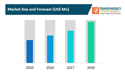 Agile Transformation Services Market 1