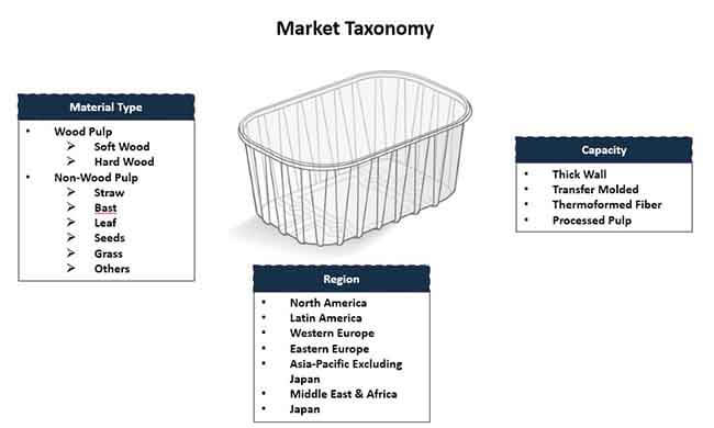 Molded_Fiber_Punnets_Market 02