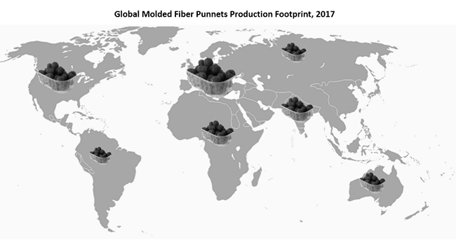 Molded_Fiber_Punnets_Market