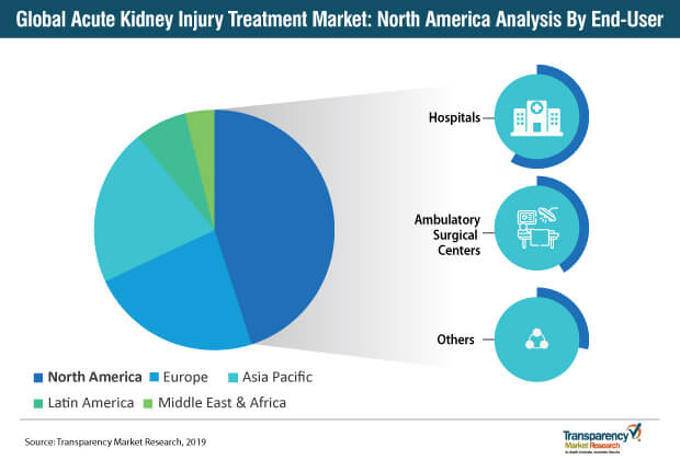 Acute Kidney Injury Treatment Market North America acute kidney injury treatment market north america