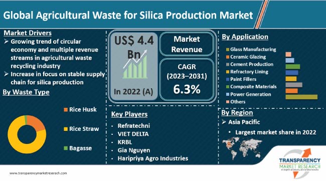 Agricultural Waste For Silica Production Market