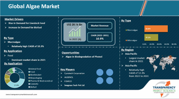 algae market