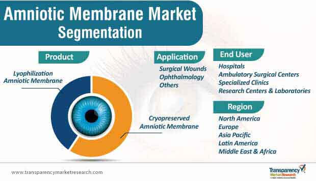 Amniotic Membrane Market Segmentation amniotic membrane market segmentation
