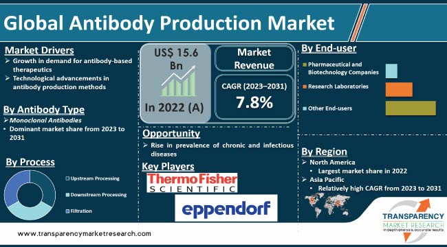 Antibody Production Market