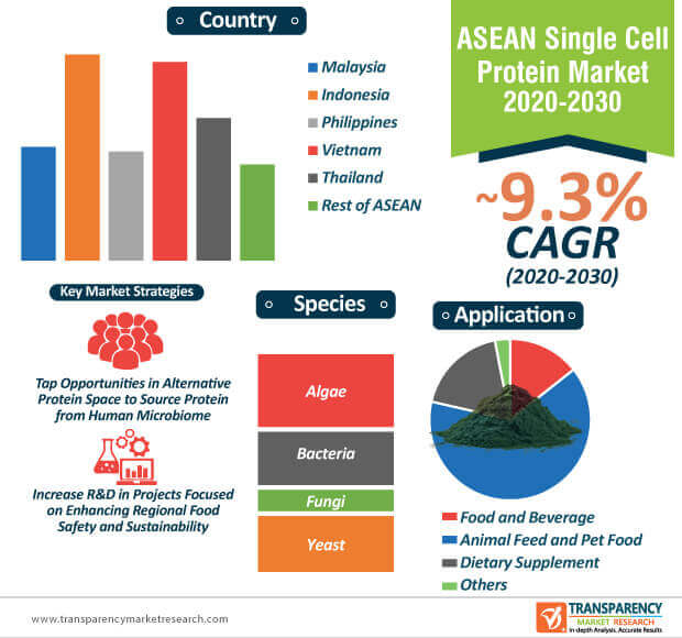 asean single cell protein market infographic