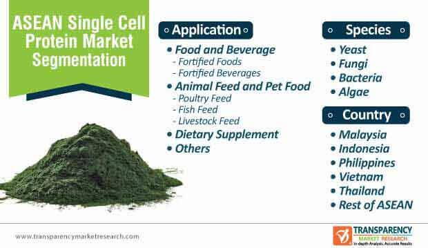 asean single cell protein market segmentation