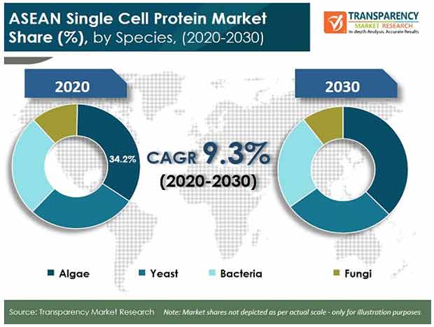 asean single cell protein market