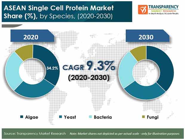 Asean Single Cell Protein Market asean single cell protein market