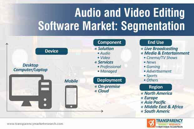 audio video editing software market segmentation