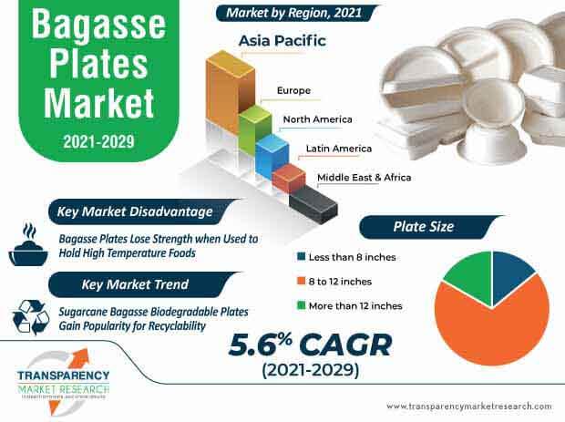 bagasse plates market infographic