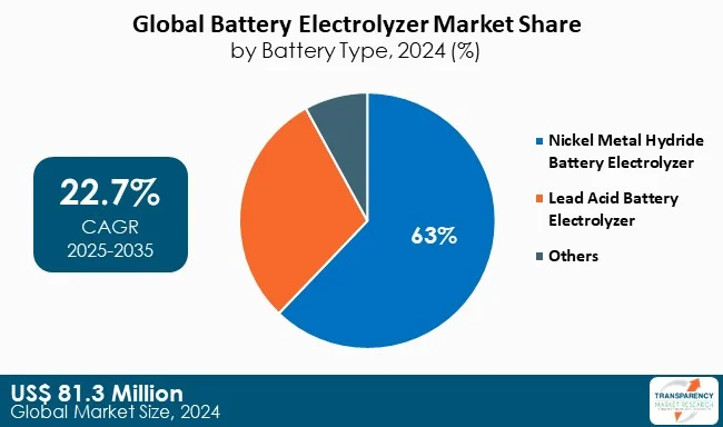Battery Electrolyzer Market By Battery Type