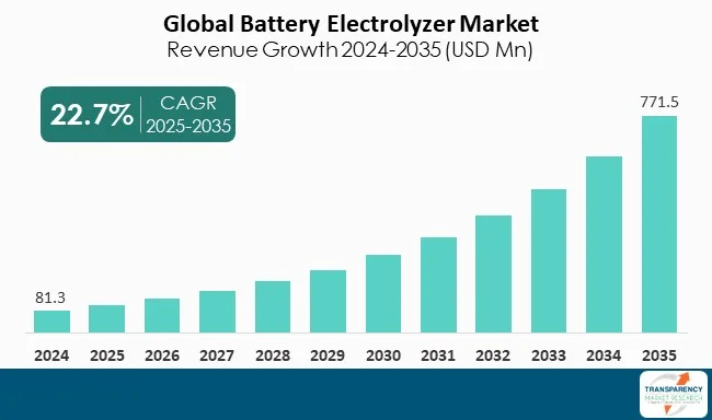Battery Electrolyzer Market By Revenue