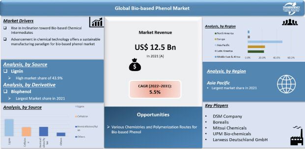 bio-based phenol market