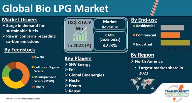 Bio Lpg Market