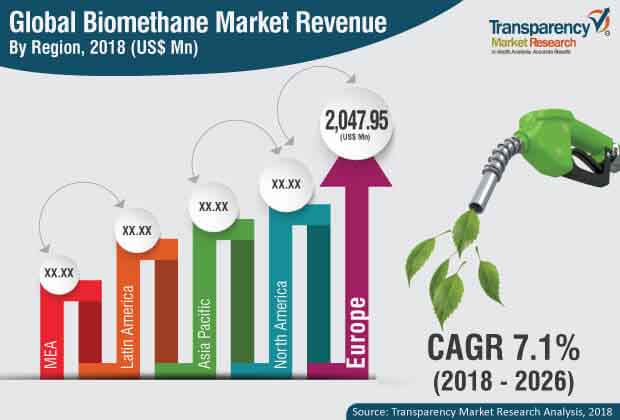 bio methane industry