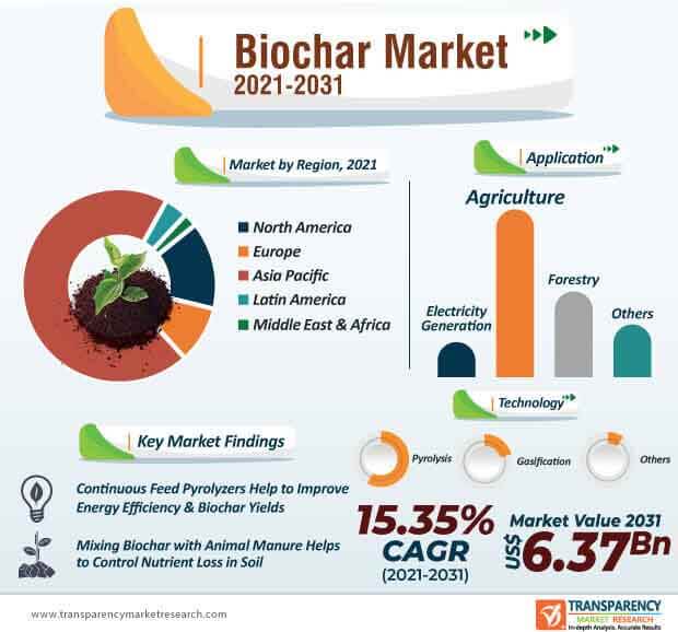 biochar market infographic