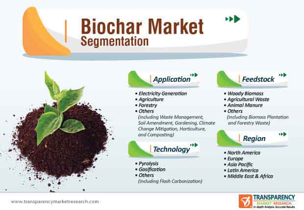 biochar market segmentation