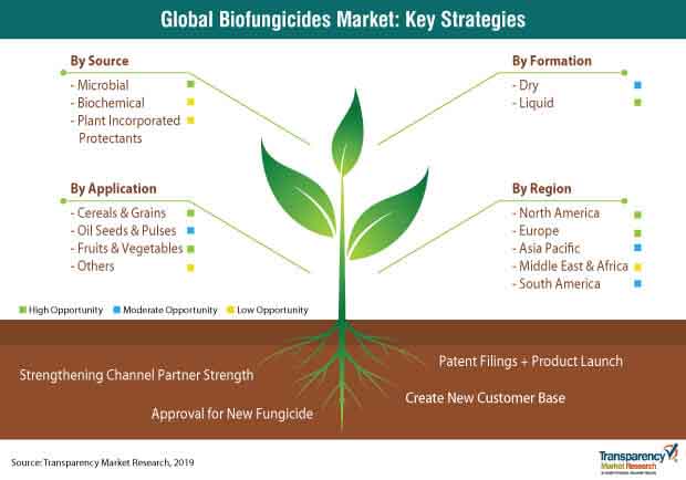 biofungicides market strategy