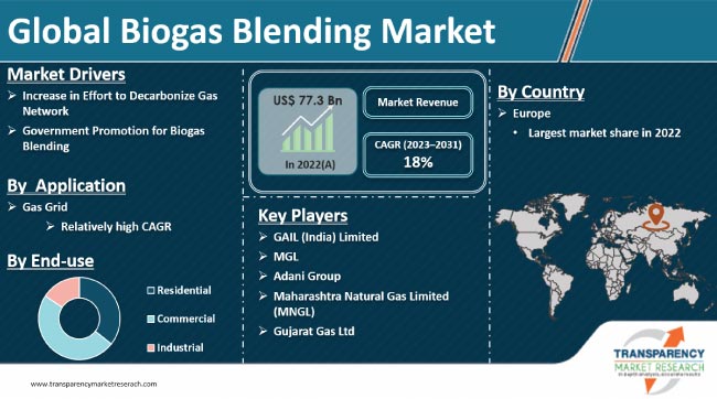 Biogas Blending Market