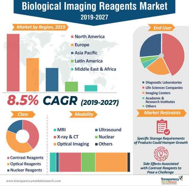 Biological Imaging Reagents Market Infographic biological imaging reagents market infographic