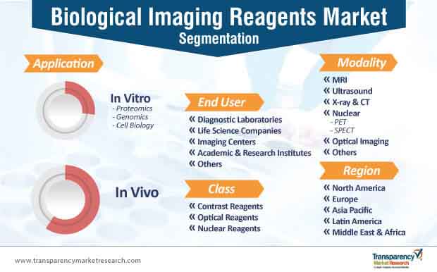 biological imaging reagents market segmentation