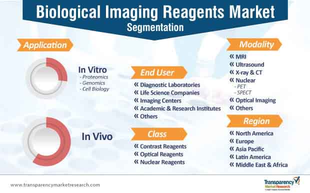 Biological Imaging Reagents Market Segmentation biological imaging reagents market segmentation