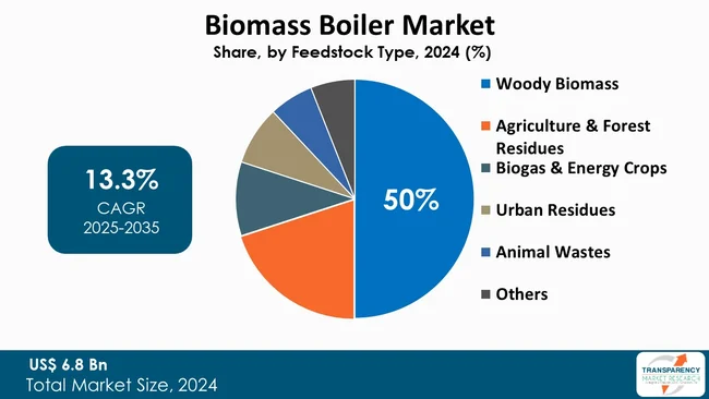 Biomass Boiler Market By Type Biomass Boiler Market By Type
