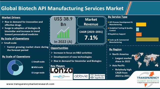 Biotech Api Manufacturing Services Market