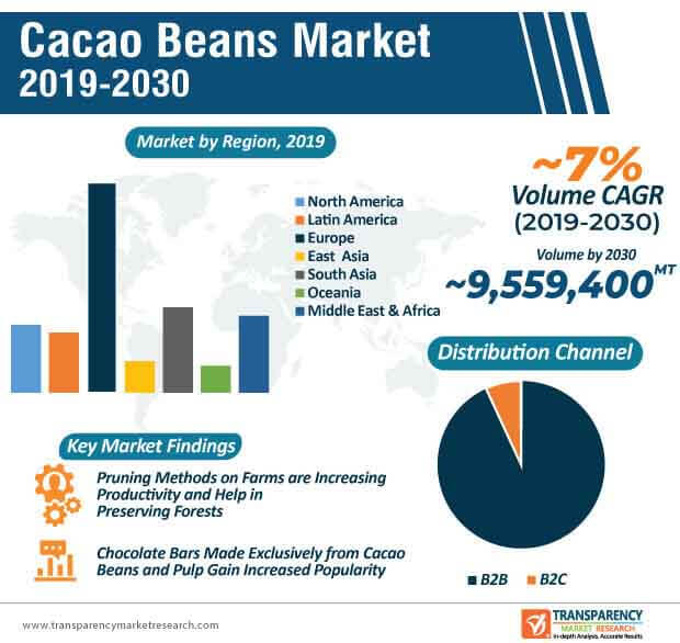 cacao beans market infographic