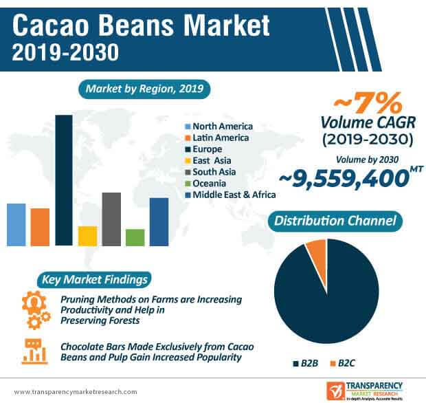 Cacao Beans Market Infographic cacao beans market infographic