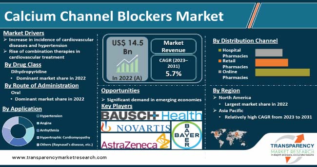 Calcium Channel Blockers Market