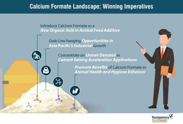 calcium formate market winning imperatives