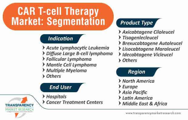 car t-cell therapy market segmentation