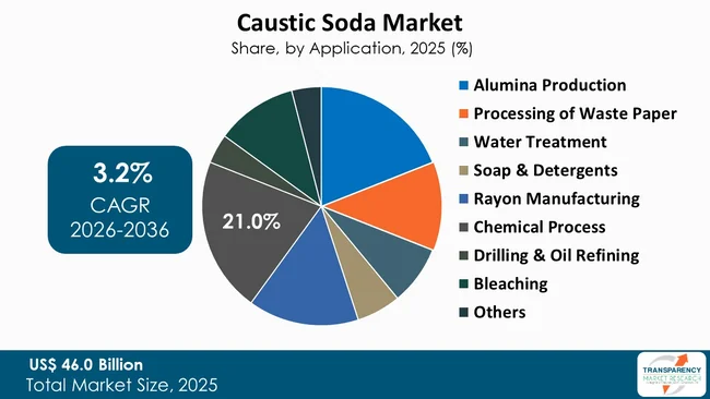 Caustic Soda Market By Type Caustic Soda Market By Type