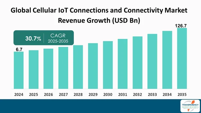 Cellular Iot Connections And Connectivity Market By Revenue