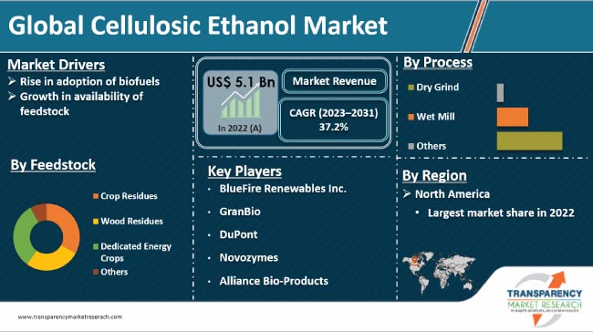 Cellulosic Ethanol Market