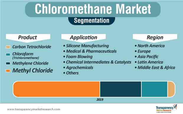 chloromethane market segmentation