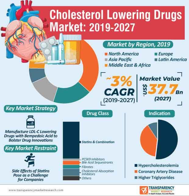 cholesterol lowering drugs market infographic