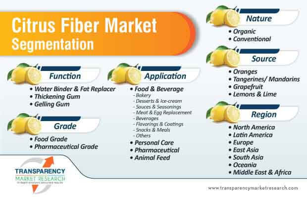 citrus fiber market segmentation
