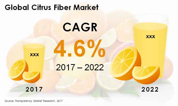 citrus fiber market