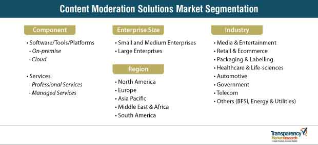 content moderation solutions market segmentation