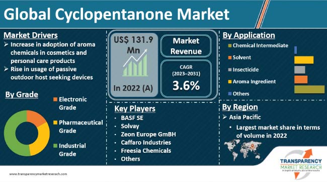 Cyclopentanone Market