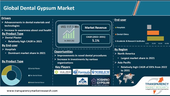 Dental Gypsum Market