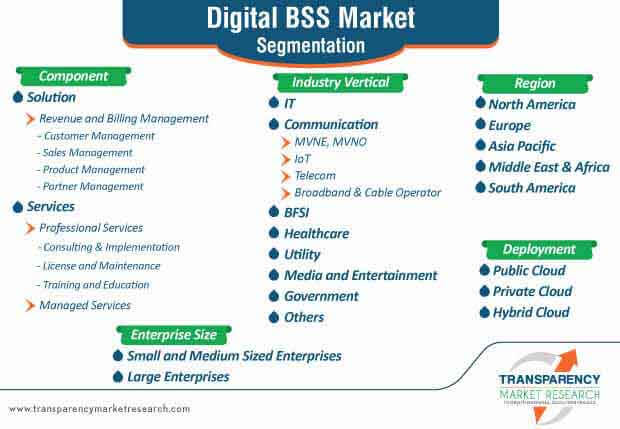 digital bss market segmentation
