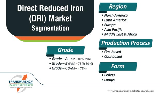 direct reduced iron dri market segmentation