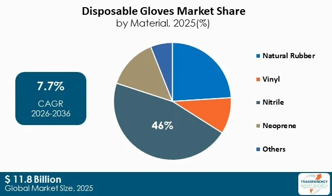 Disposable Gloves Market By Type