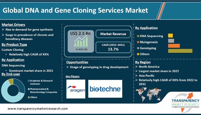 Dna And Gene Cloning Services Market