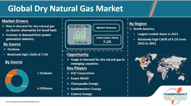 Dry Natural Gas Market